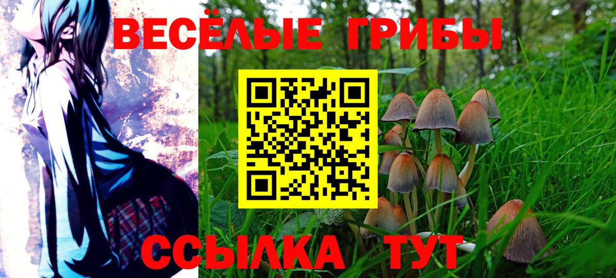 Галлюциногенные грибы Cubensis Ишим